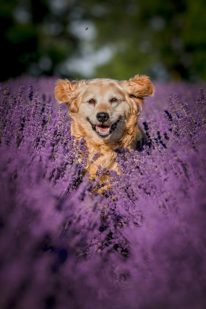 Photograph by Lucia Drietomska