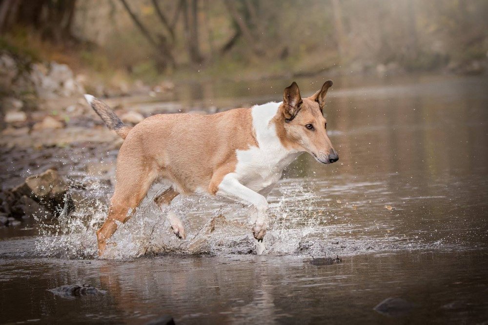 Photograph by Lucia Drietomska