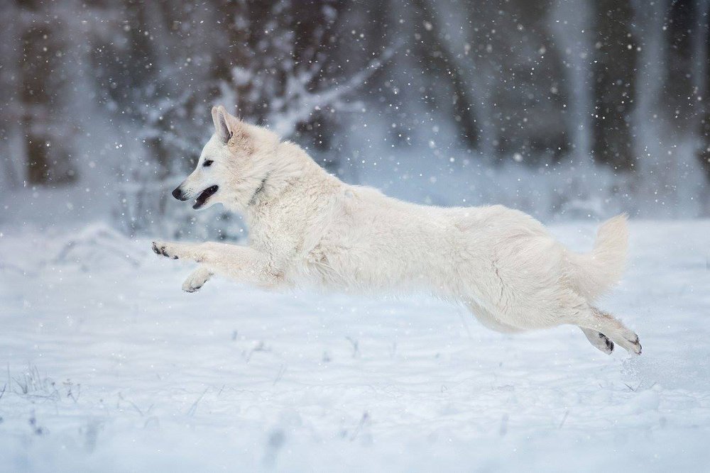 Photograph by Lucia Drietomska