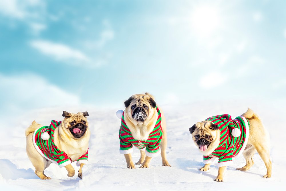 Photograph by Vitalii Shcherbyna