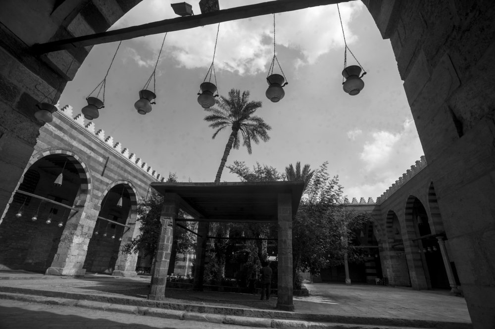 Фотография автора Hashem Mohamed