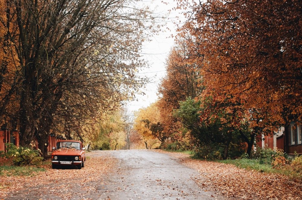 Photograph by Дарья