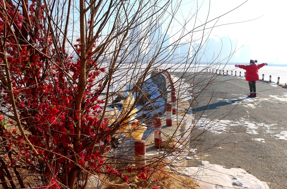 Photograph by Abu Wahed Nurul Momen Talukdar