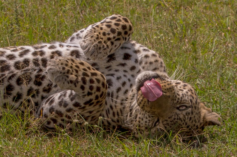 Photograph by Ольга Петруша