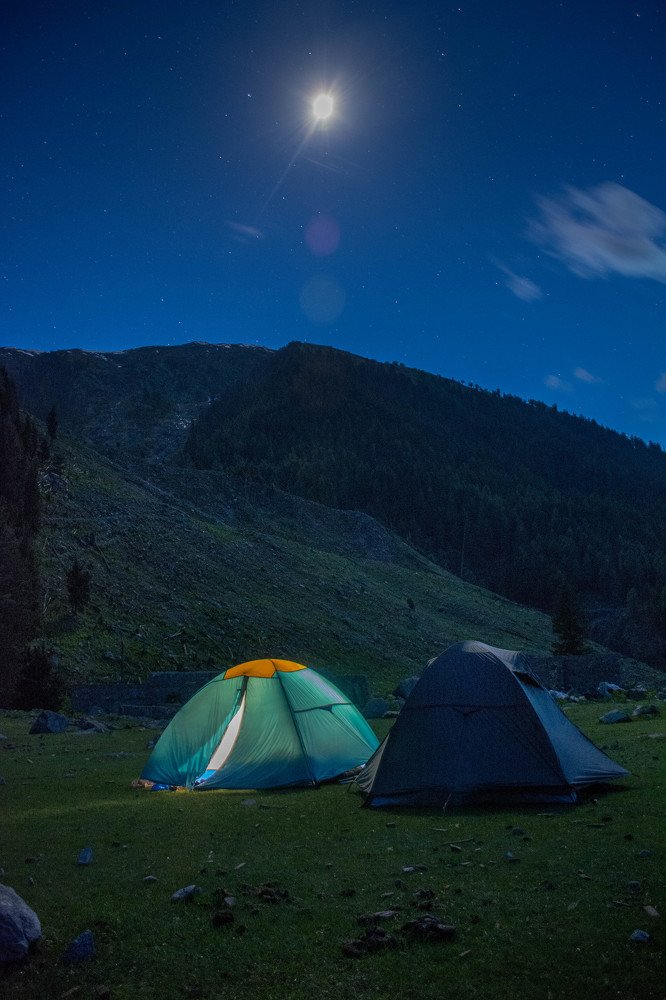 Night, wilderness and the Moon