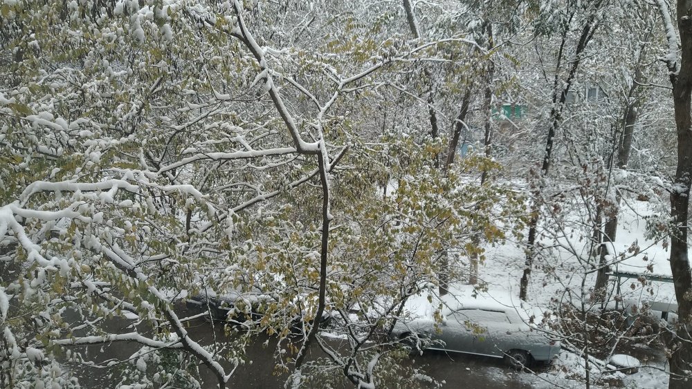 Photograph by Alexandr