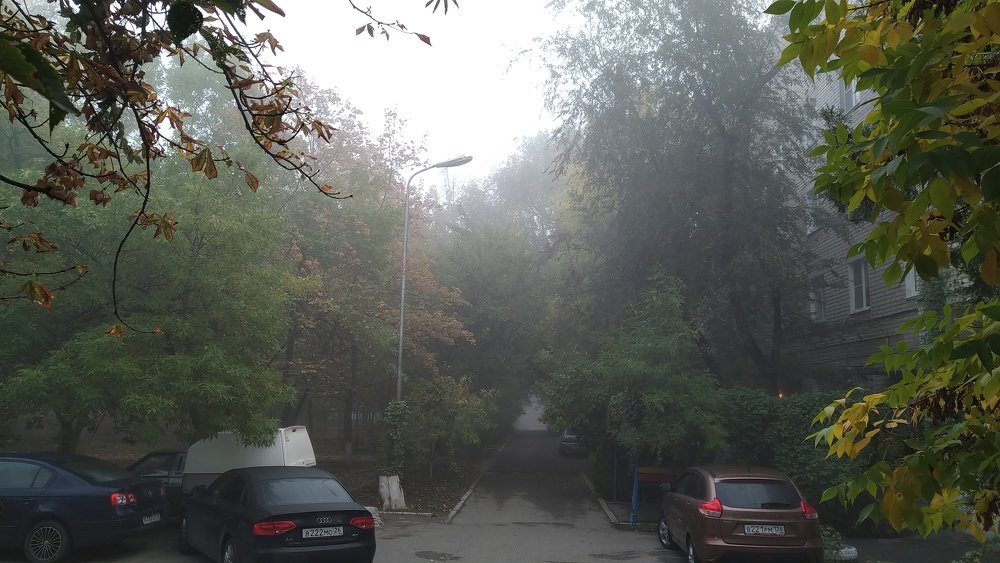 Photograph by Alexandr