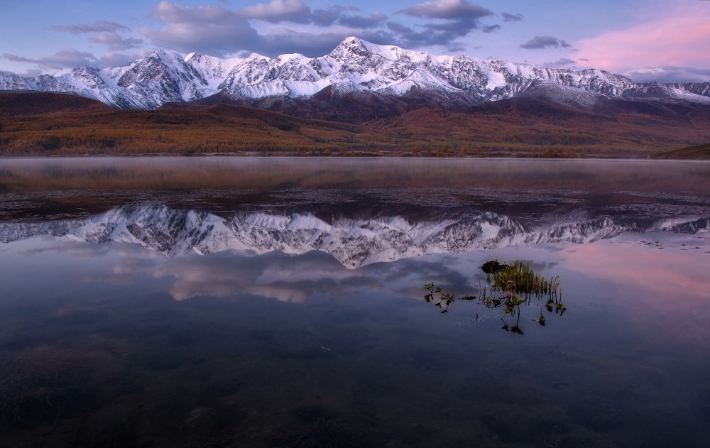 Photograph by Марина Фомина