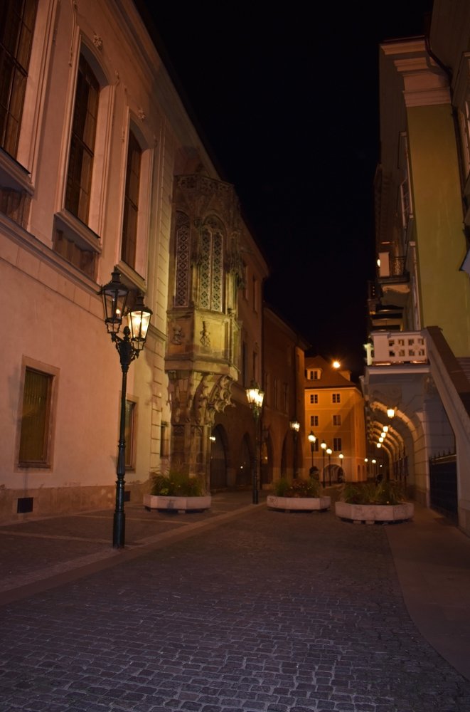 Photograph by Nina Streapan