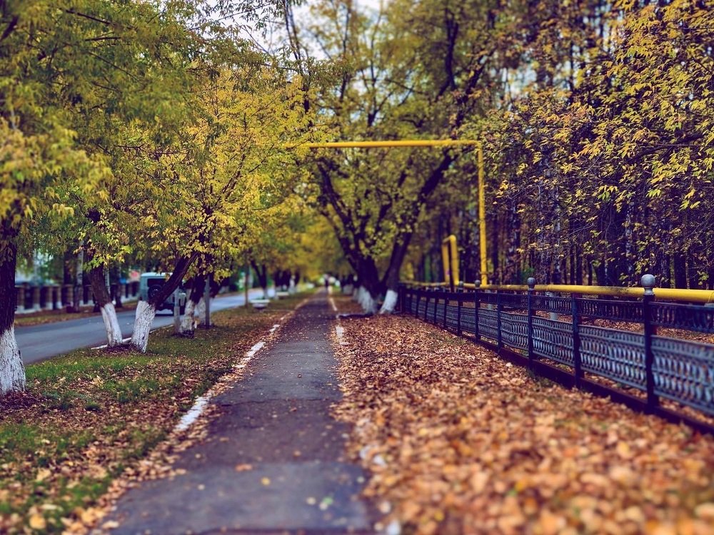 Photograph by Юрий Попов