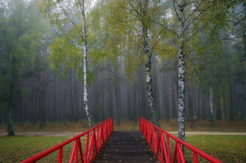 Photograph by Сергей Шляга