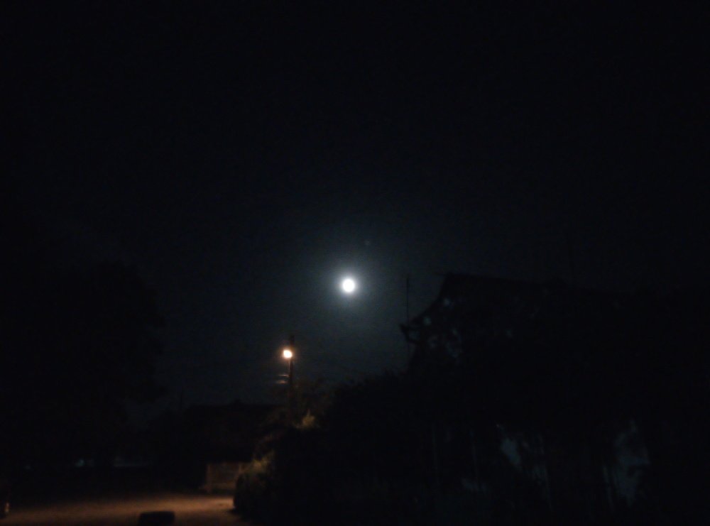 Photograph by Наталія Дронюк