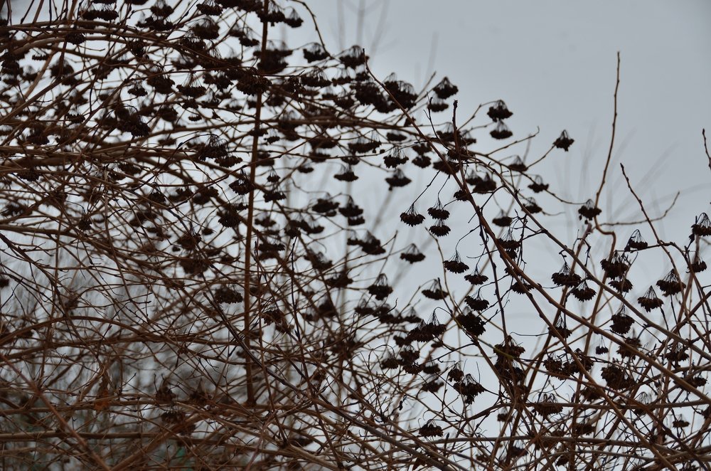 Photograph by Alexander Zvir