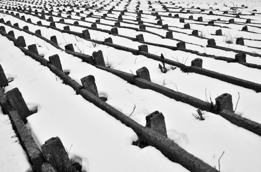 Photograph by Alexander Zvir