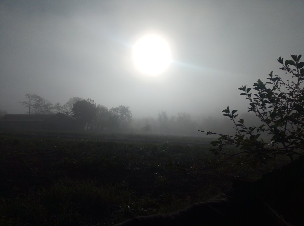 Photograph by Наталія Дронюк