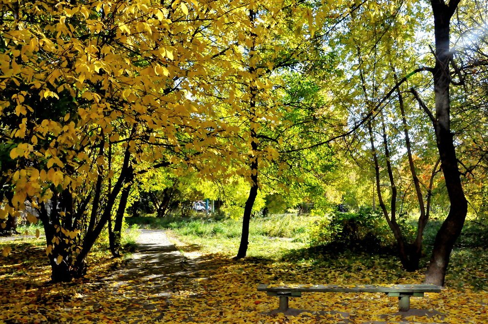 Photograph by НИНА АВЕРЬЯНОВА