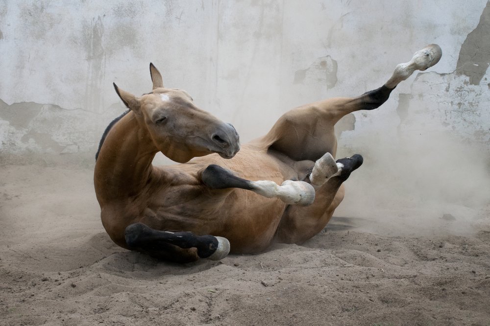 Photograph by Лия Макари