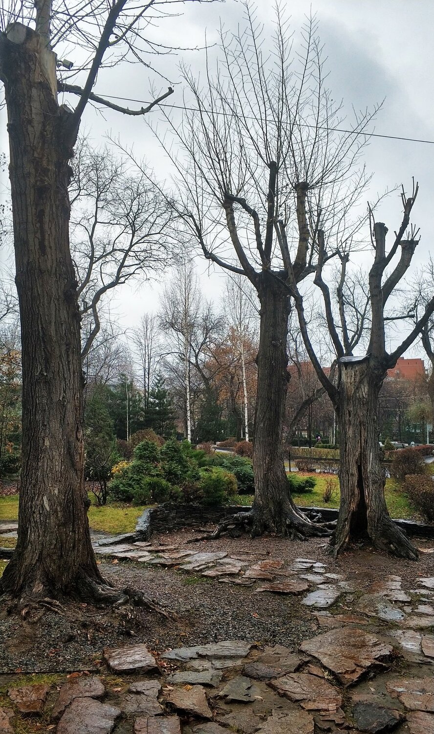 Photo #3816145