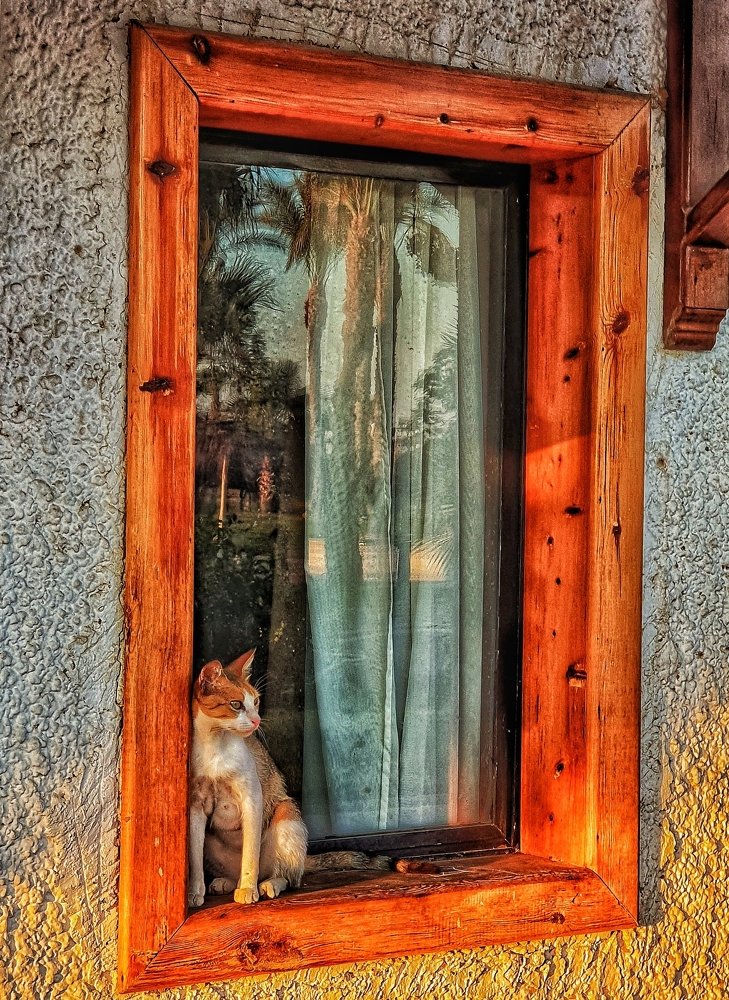 Photograph by Диана Даулбаева