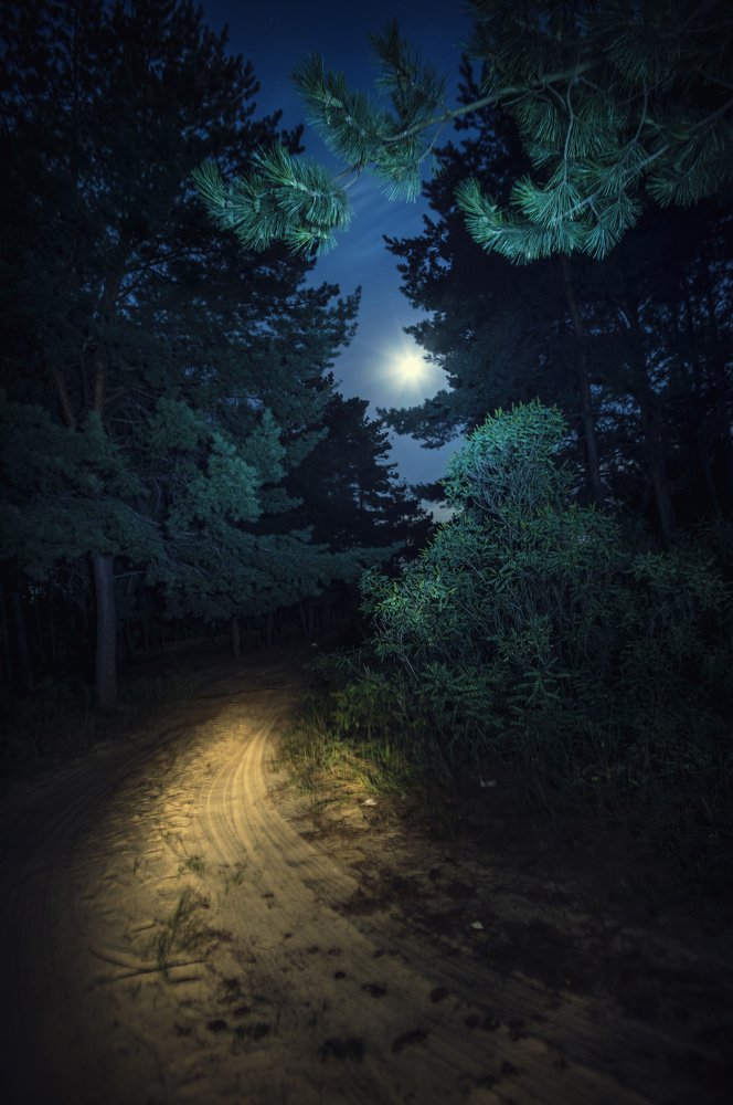 Photograph by Андрей Черненко