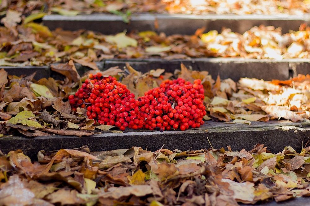 Photograph by Оксана Федулова