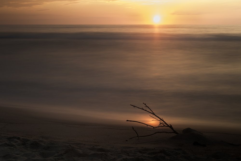 Фотография автора АлександрТутаев