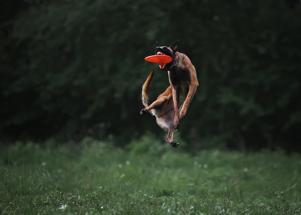 Photograph by Елизавета Романова