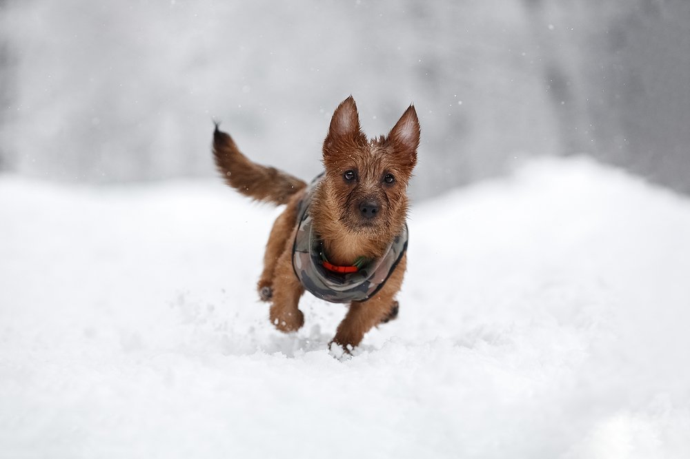 Photograph by Елизавета Романова
