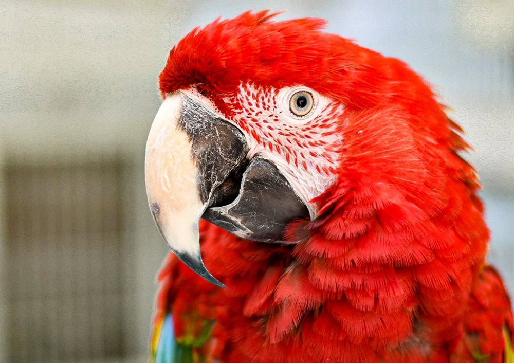 Photograph by Manjri Saxena