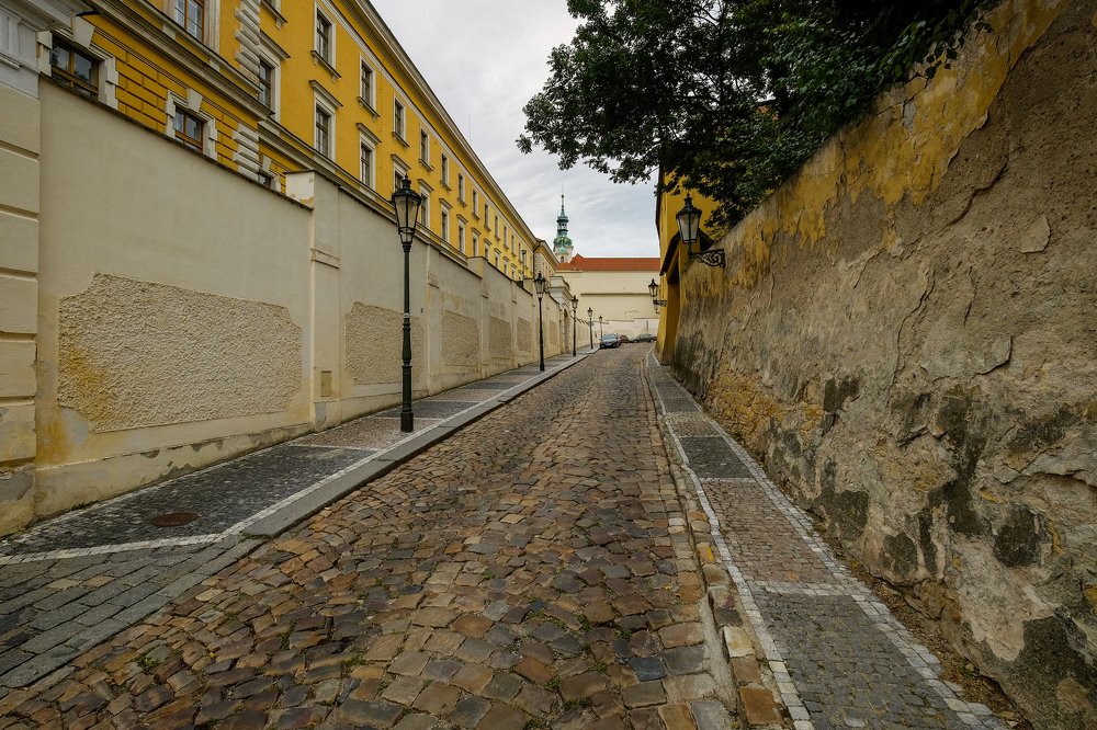 Photograph by Alexander Altgauzen