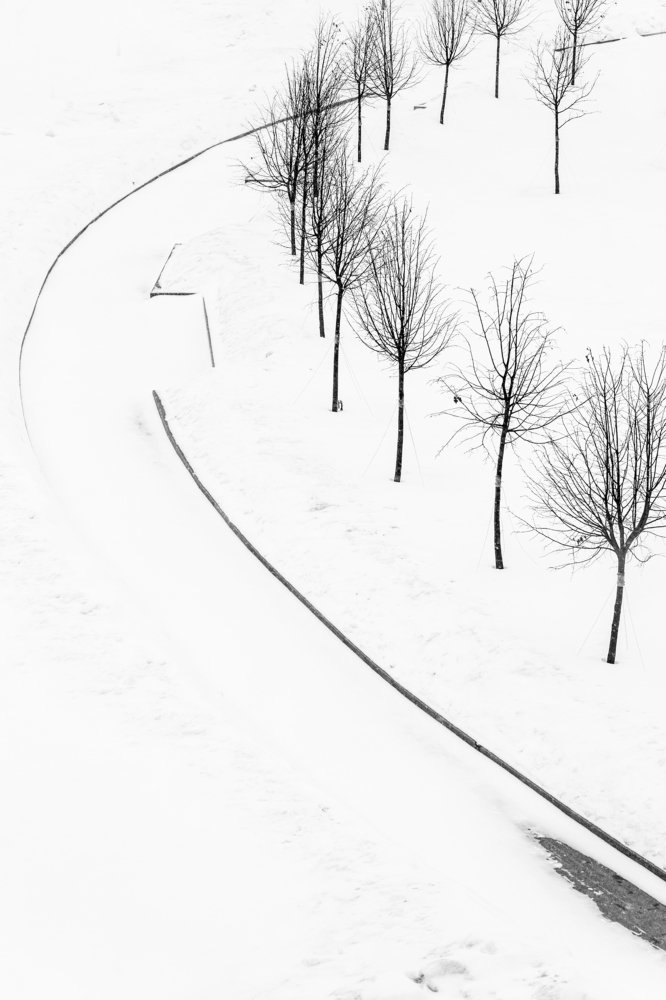 Фотография автора АлександрТутаев