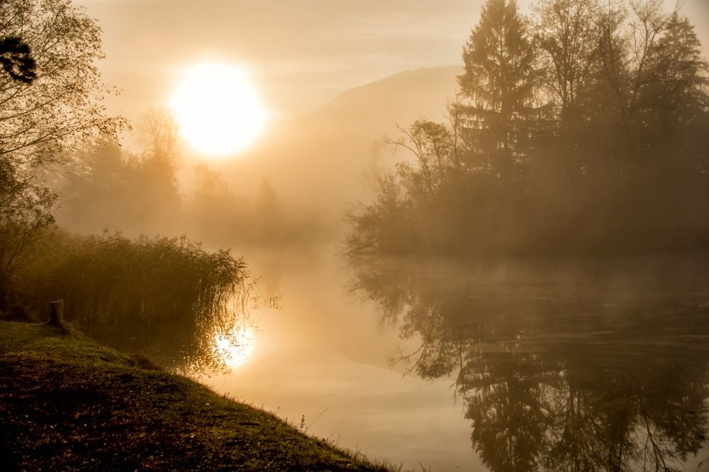 Photograph by zause01