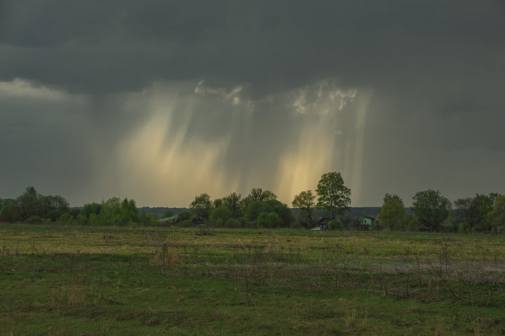 Майский дождь