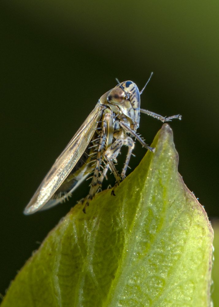 Photograph by Сергей Федоренко