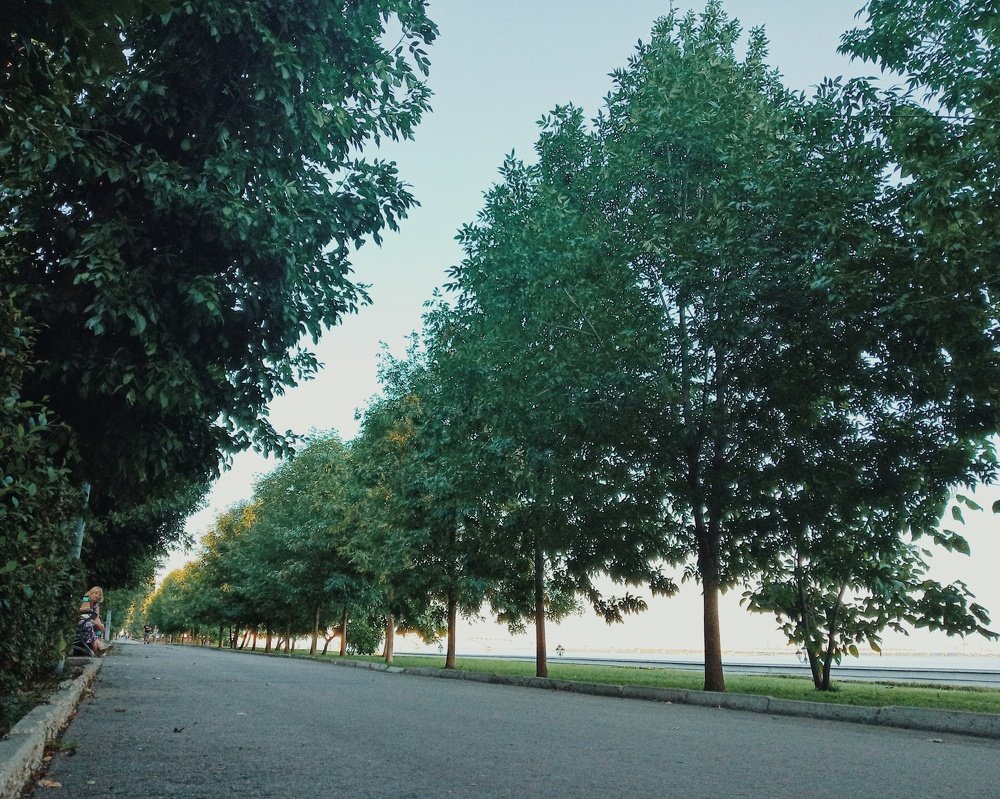 Photograph by Остапчук Юлия