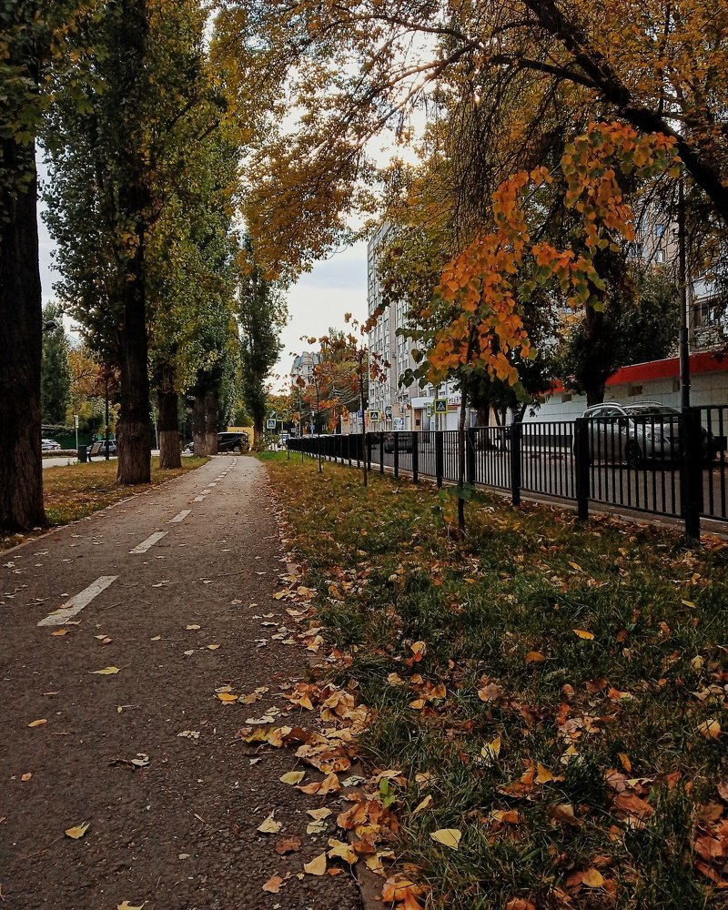 Photograph by Остапчук Юлия