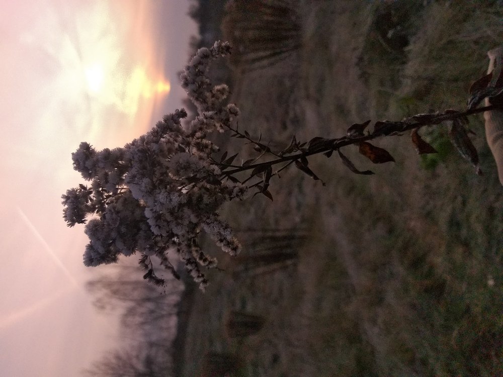Photo #3816768