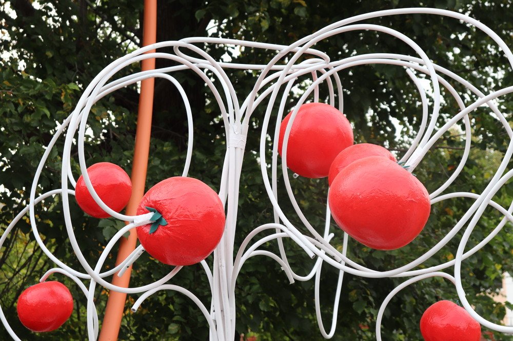 Photograph by Федоренко Элеонора