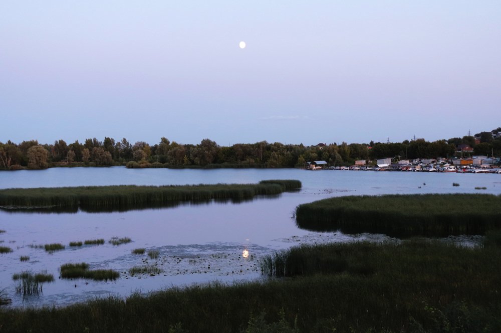 Photograph by Федоренко Элеонора