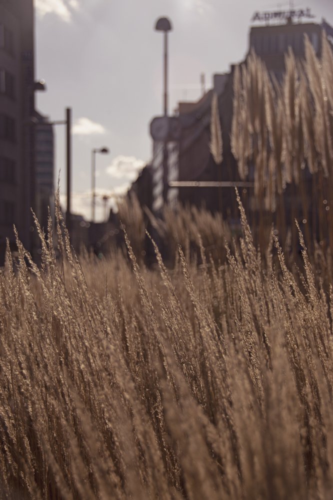 Photograph by Ксения Найденова