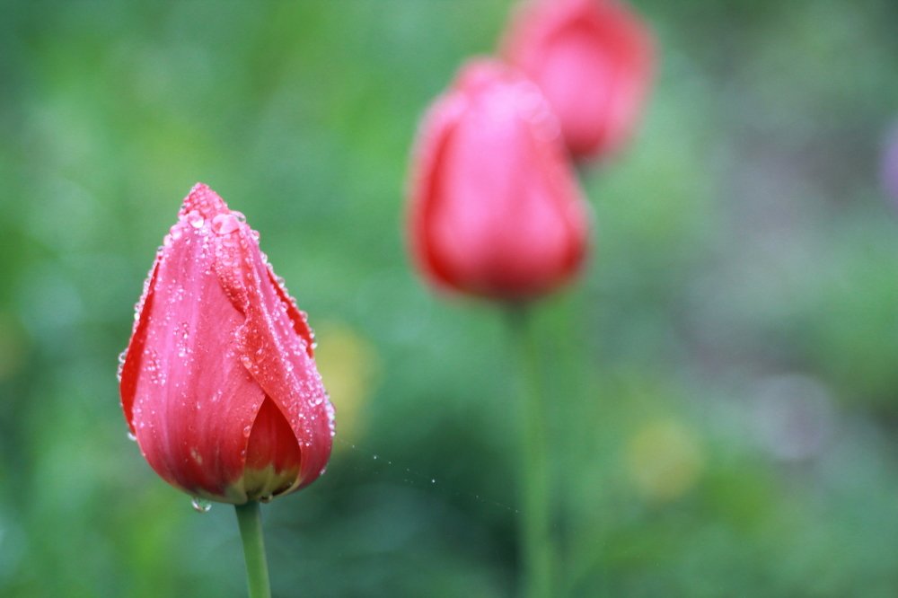Photograph by Андрей