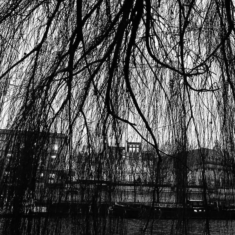 Photograph by Vintage video