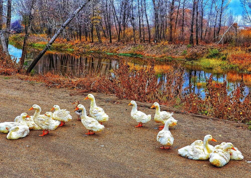 Photograph by Диана Даулбаева