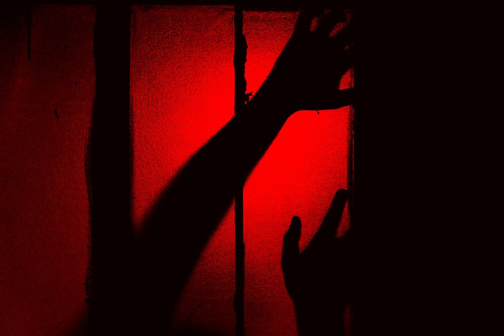 Photograph by Milad Mousavi