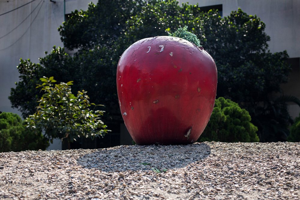 Photograph by Mohosin Kabir