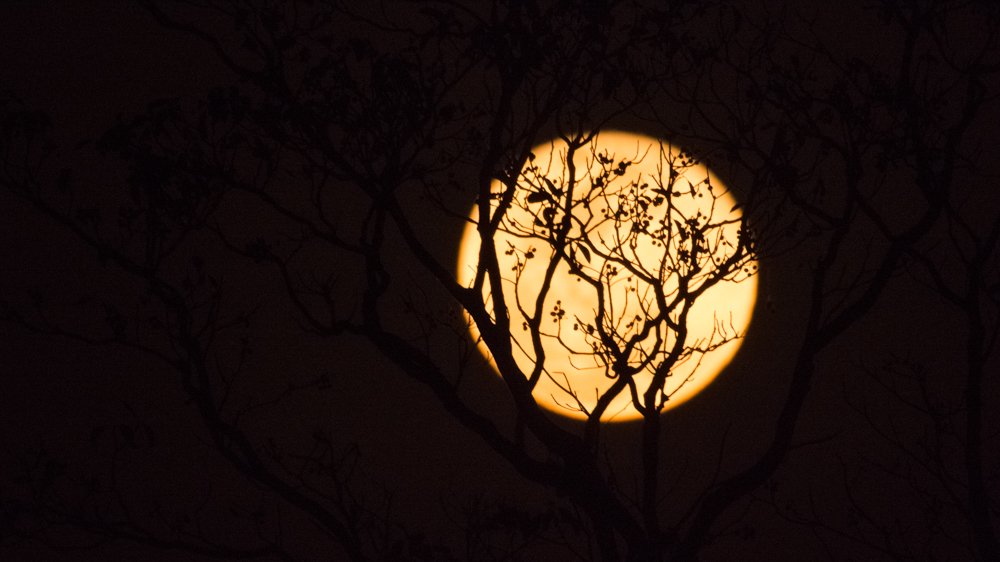 Full Moon behind the Natural Net