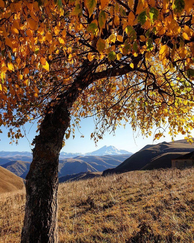 Photograph by Елена Горячева