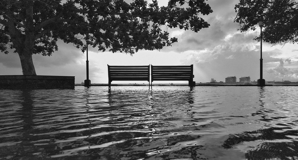 Photograph by T V Arun