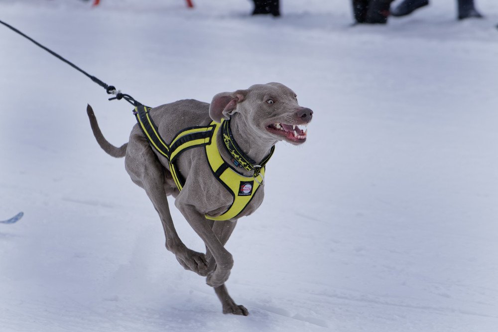 Photograph by Сергей Стукен