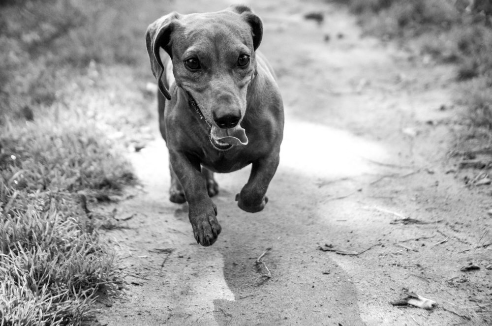 Photograph by Лариса Абрамова